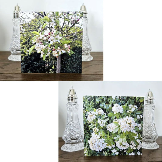 beautiful flower birthday cards