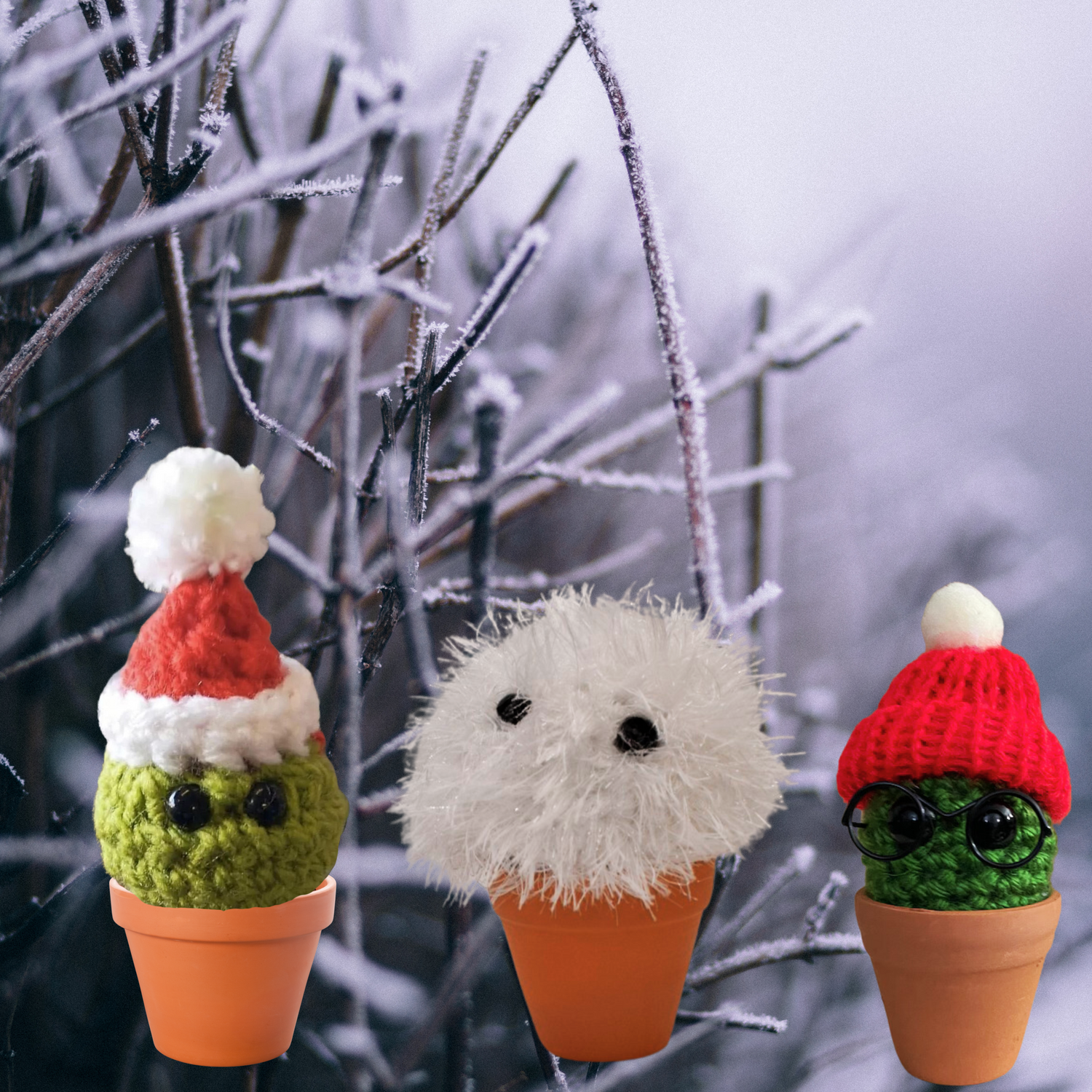 crochet christmas cacti gifts