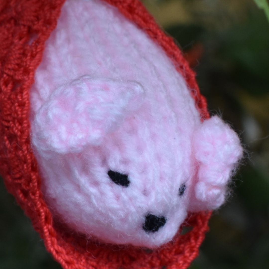 funny-pigs-in-blankets