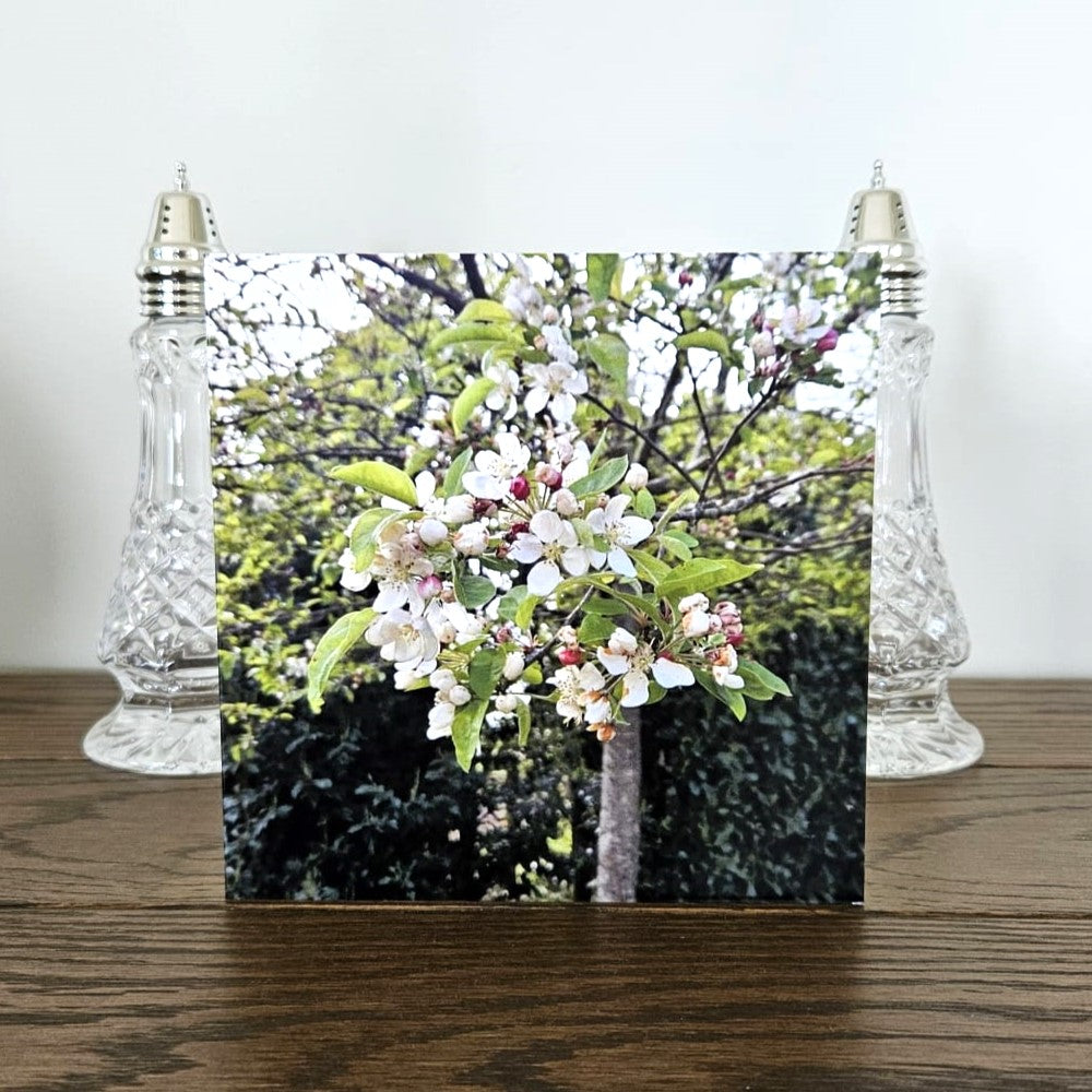 beautiful flower birthday cards