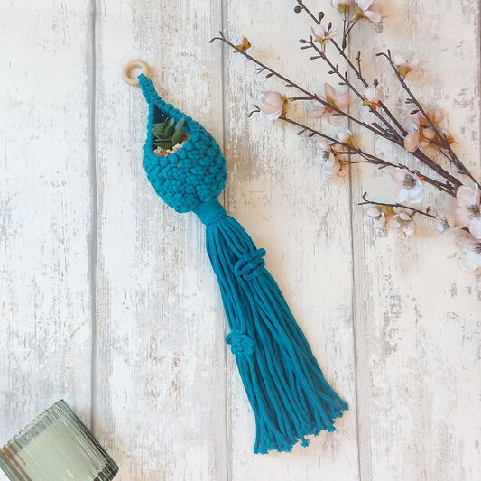 hanging-plant-holder