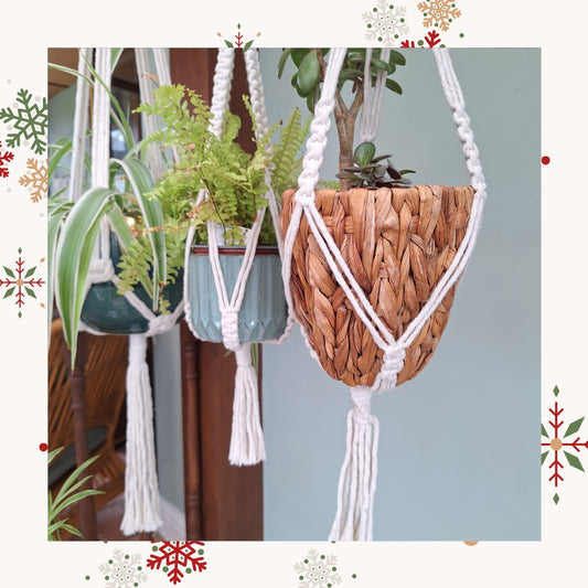 plant-lover-christmas-gift