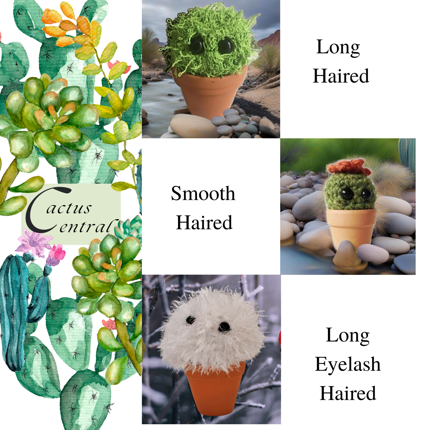 crochet christmas cacti gifts