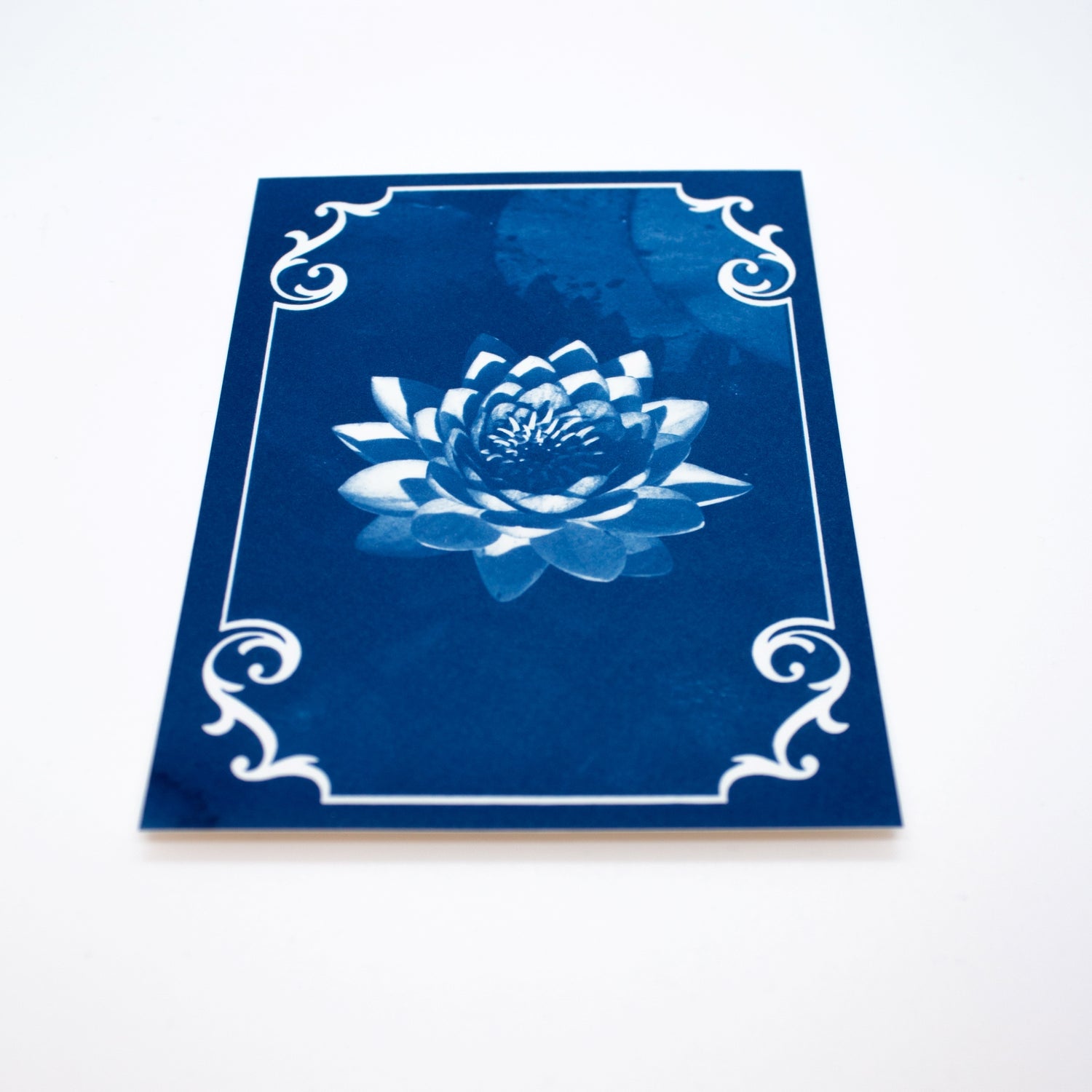 july-birth-flower