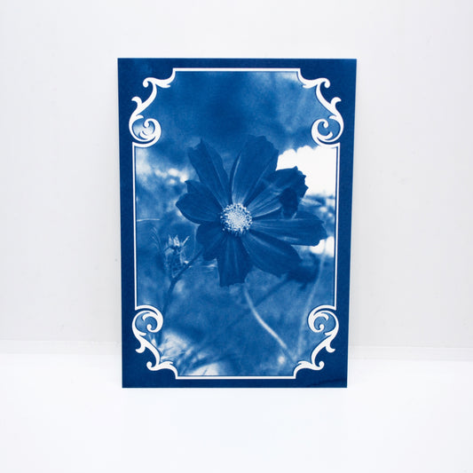 birthday-flowers-for-october