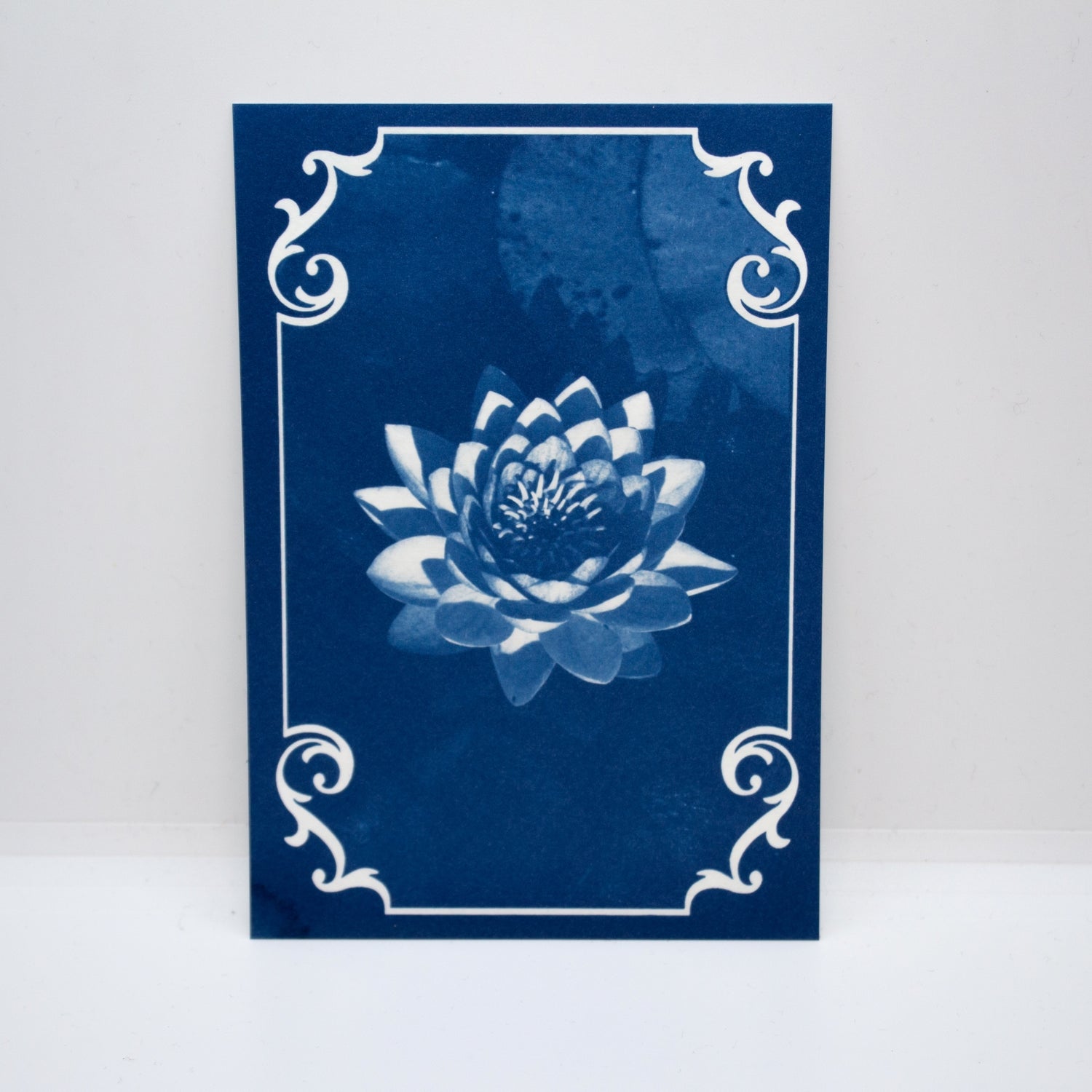 july-birth-flower