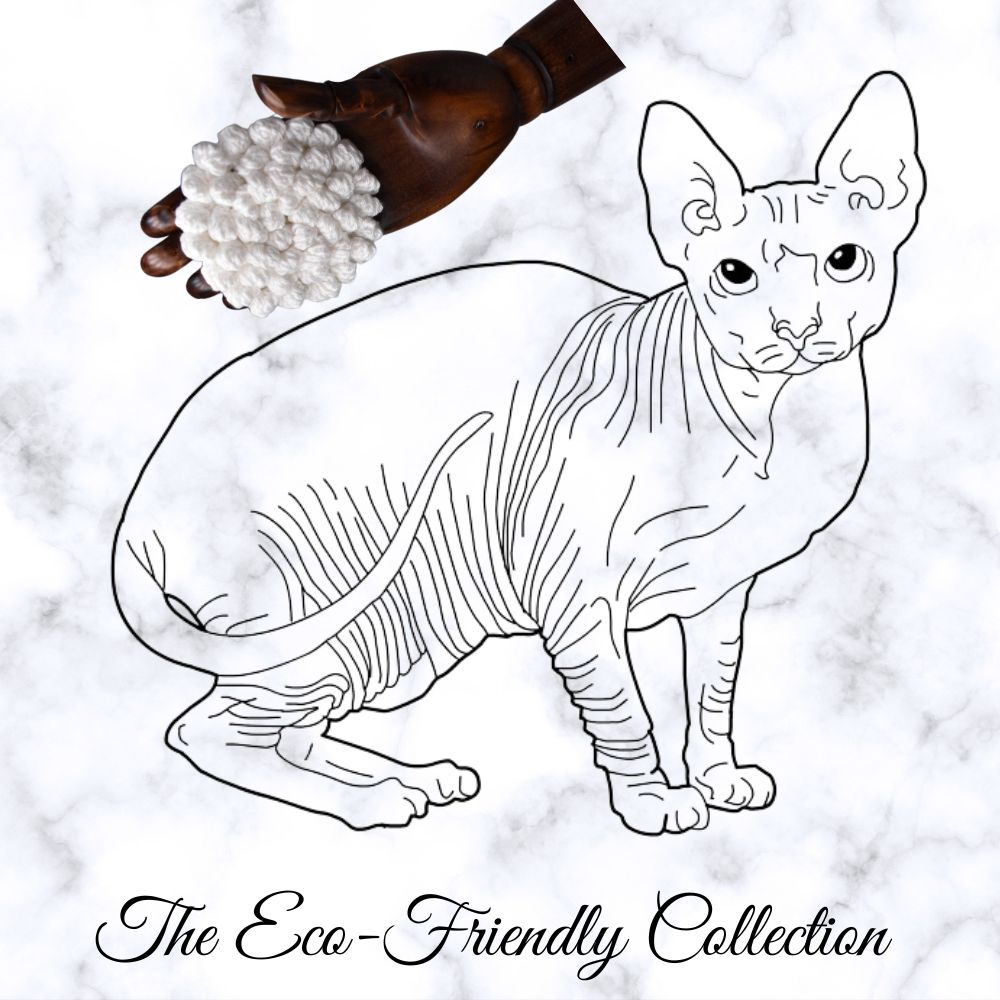 sphynx-cat-accessories