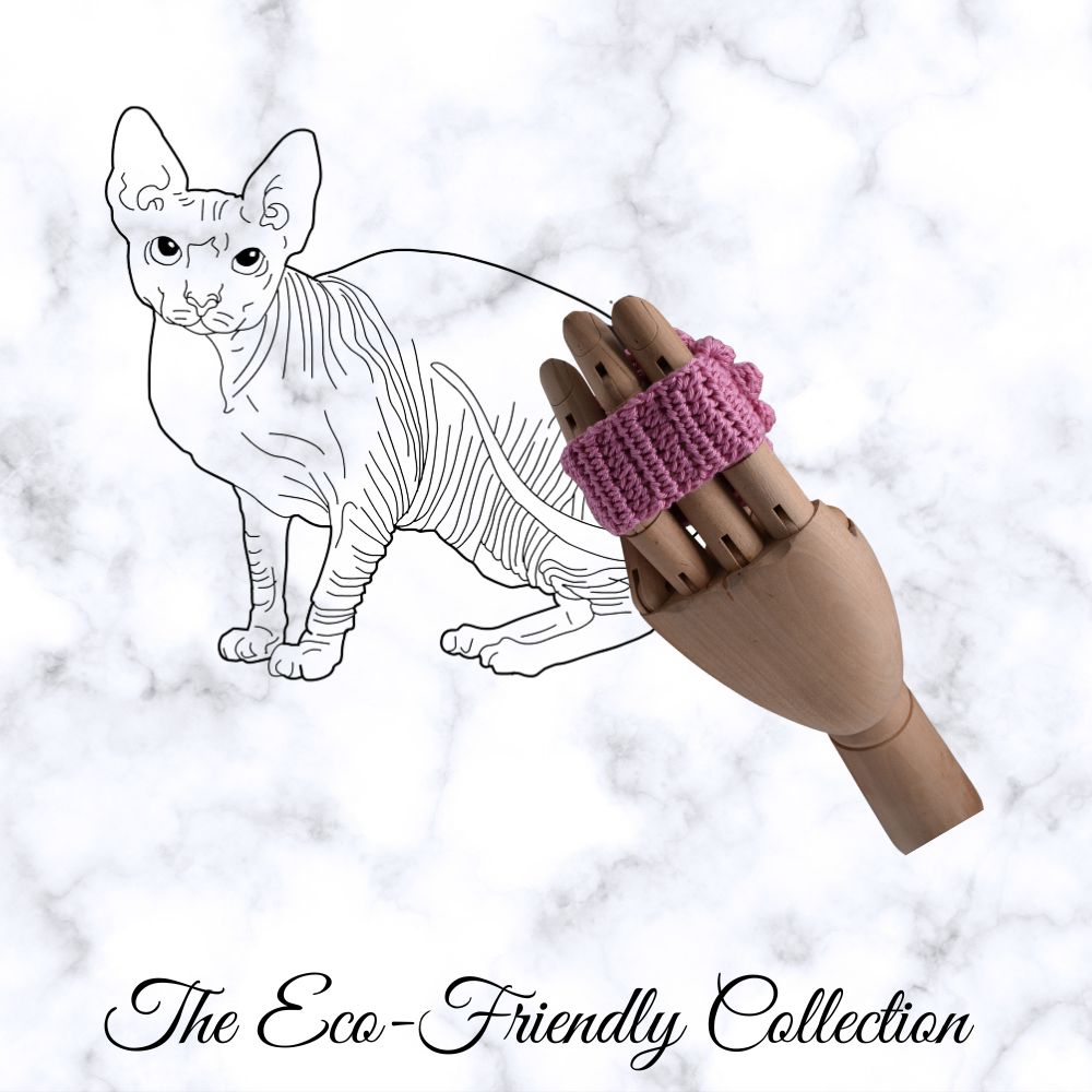 sphynx-cat-accessories