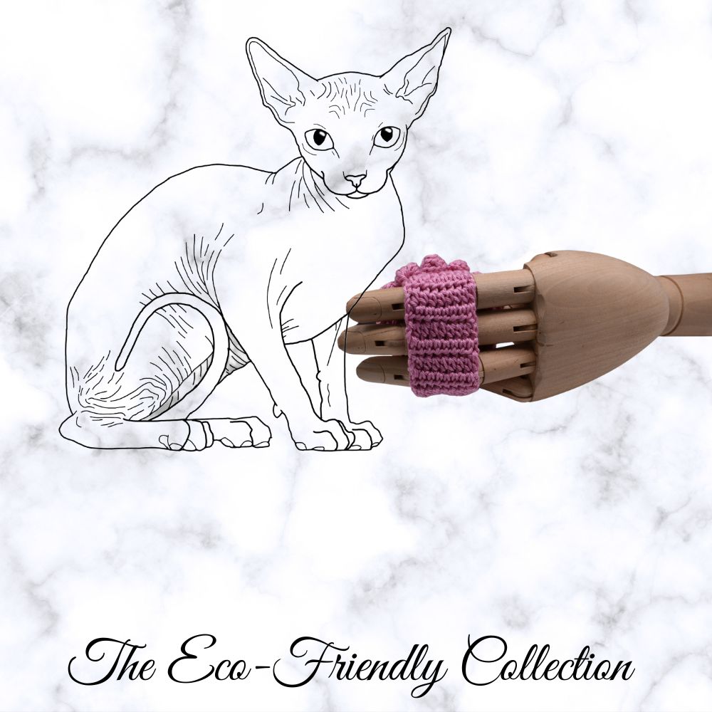 sphynx-cat-accessories
