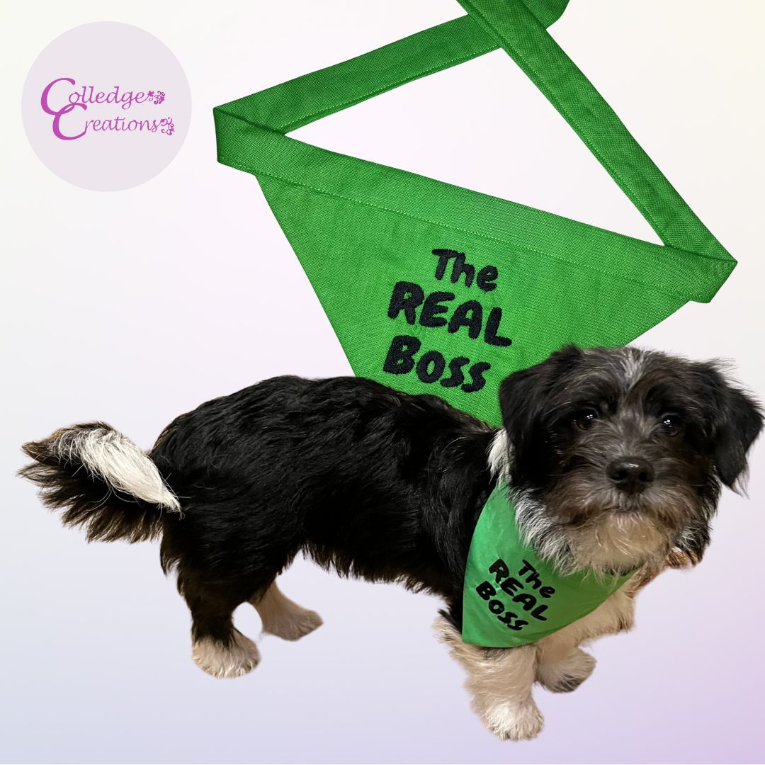 personalised dog bandannas