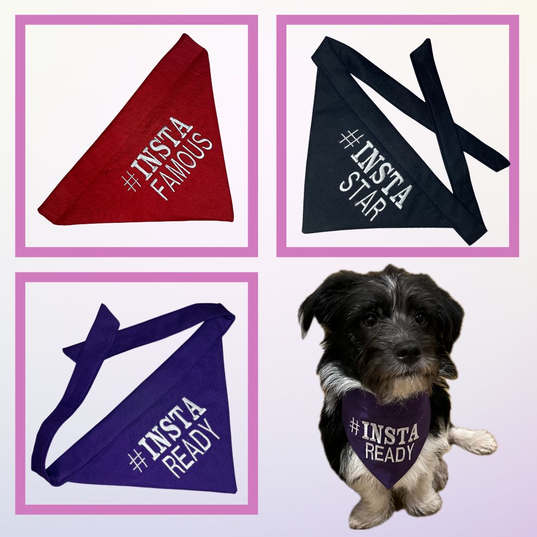 personalised dog bandannas