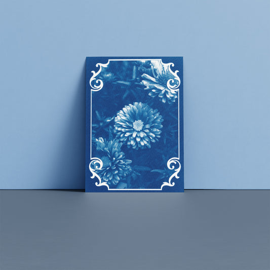september-birth-flower