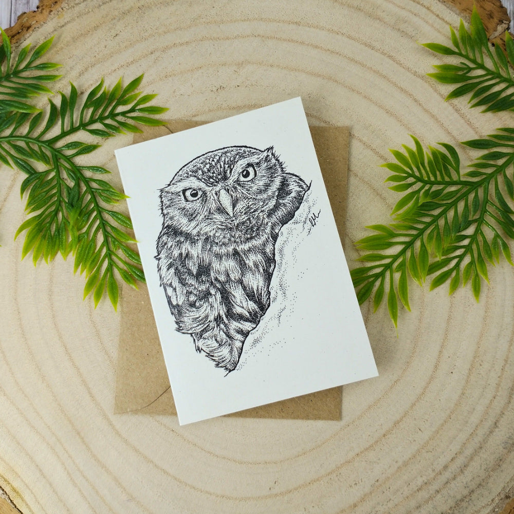 british-wildlife-card-set