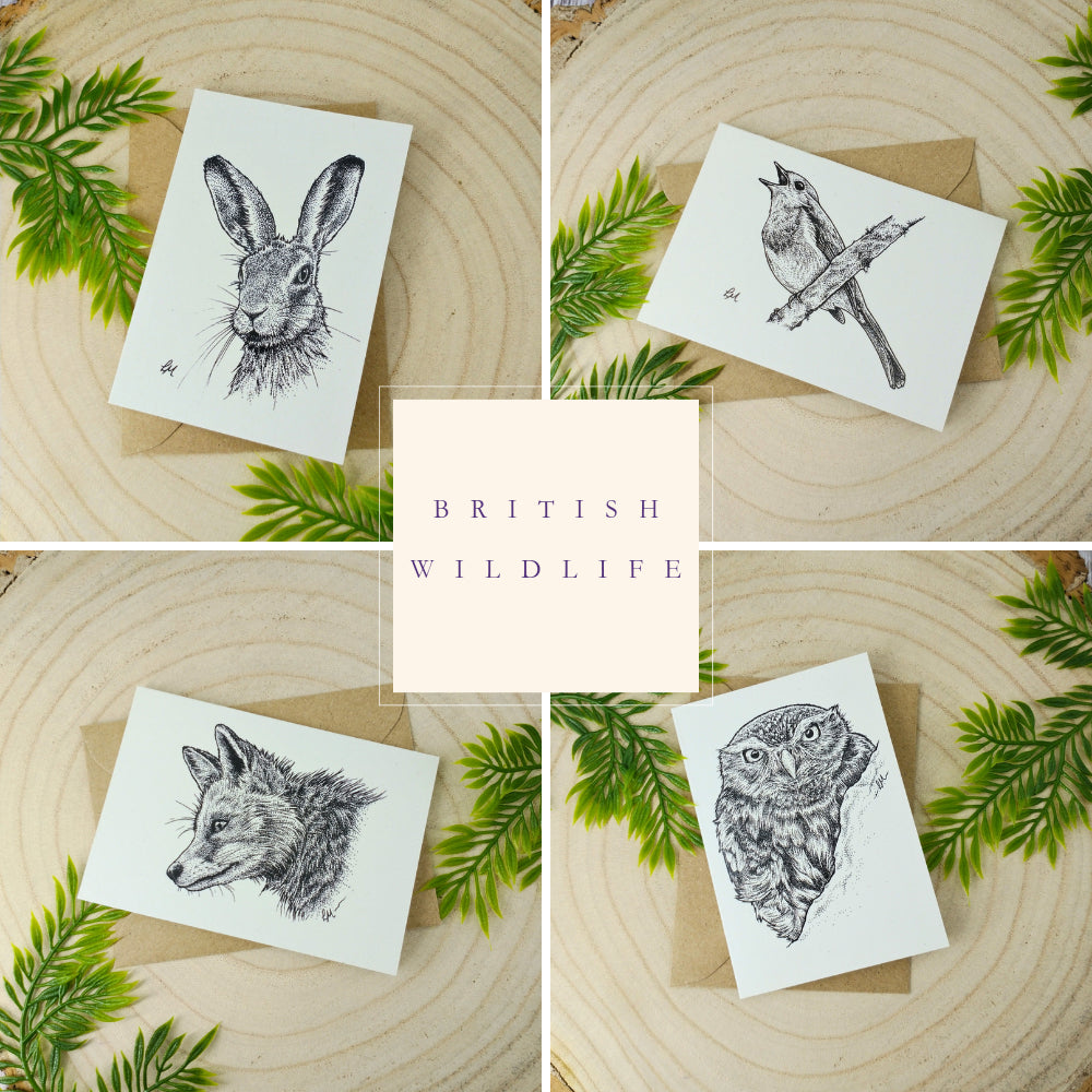 british-wildlife-card-set