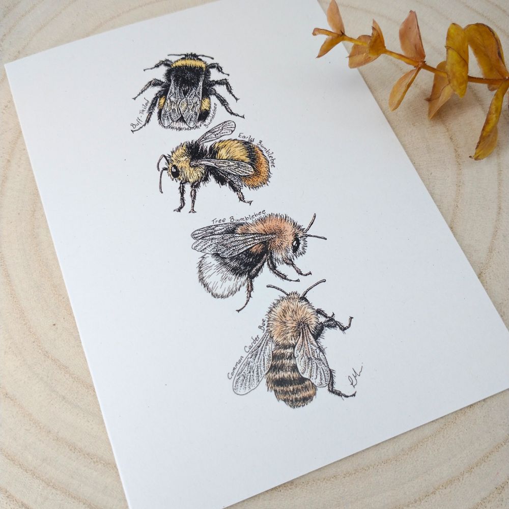 bumblebee-card