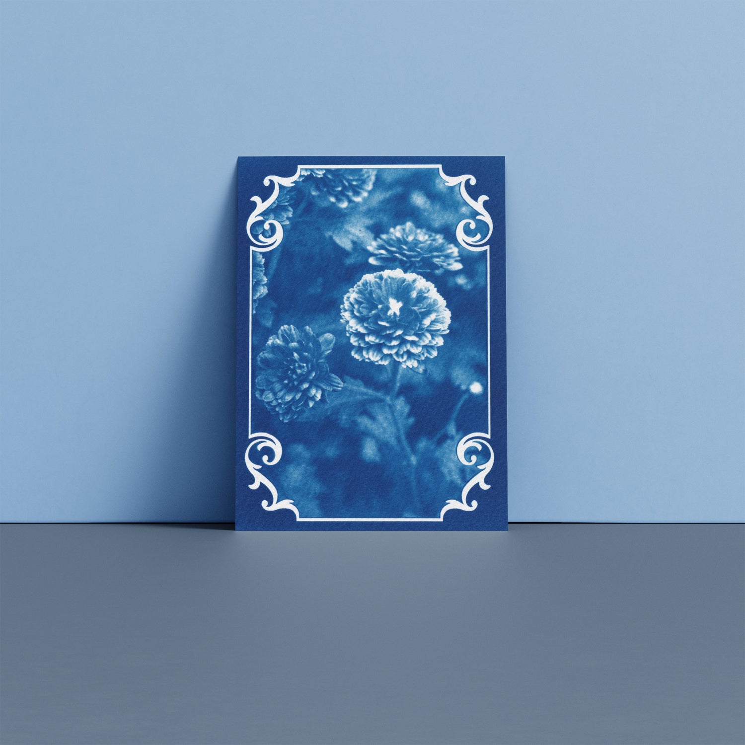 chrysanthemum-flower