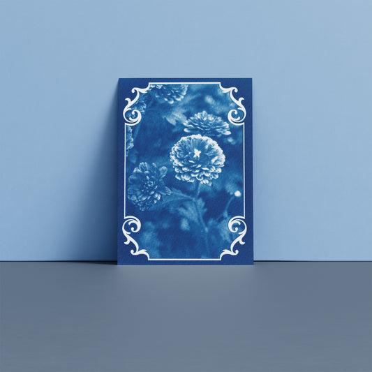 chrysanthemum-flower