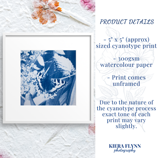 common-british-butterflies