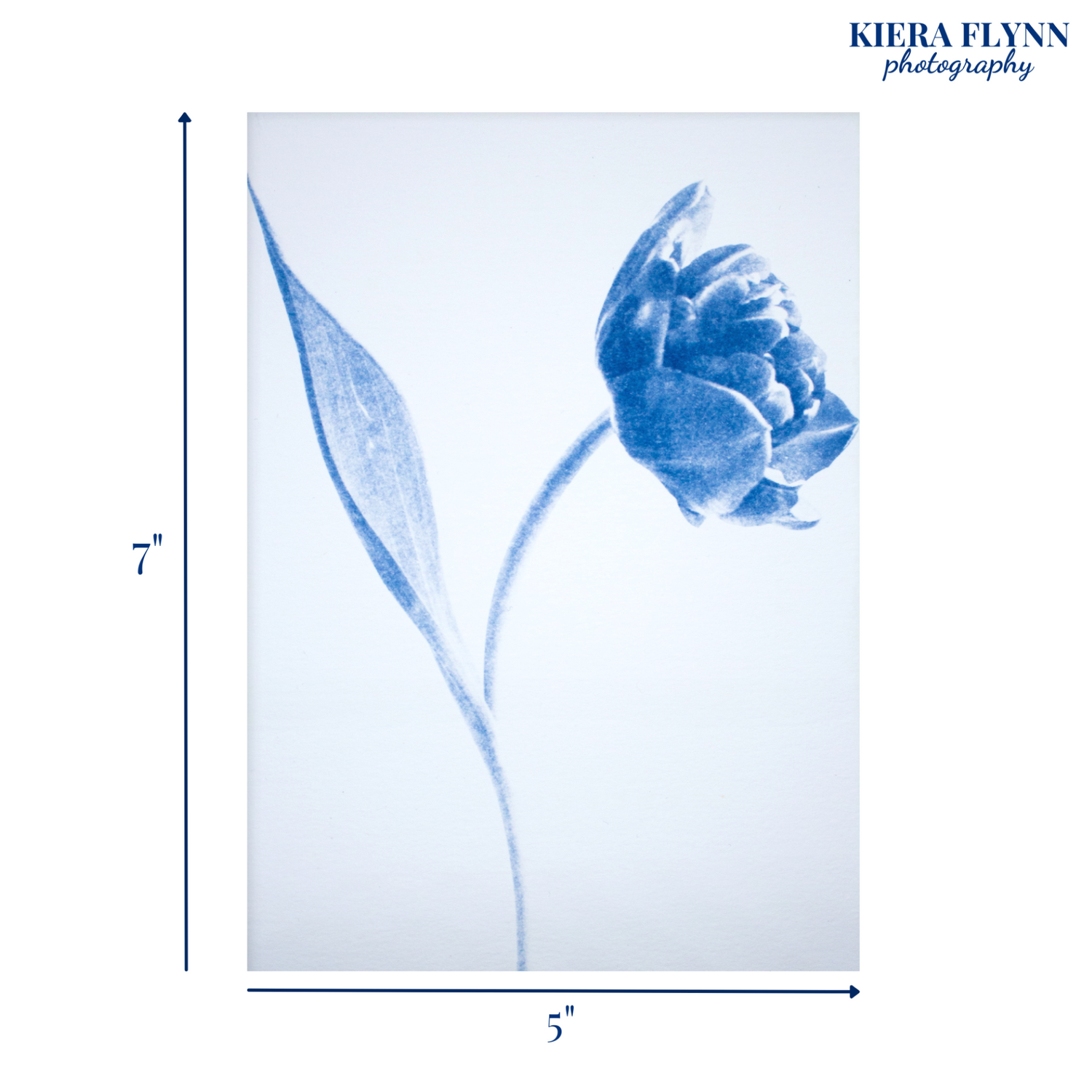 tulip-art