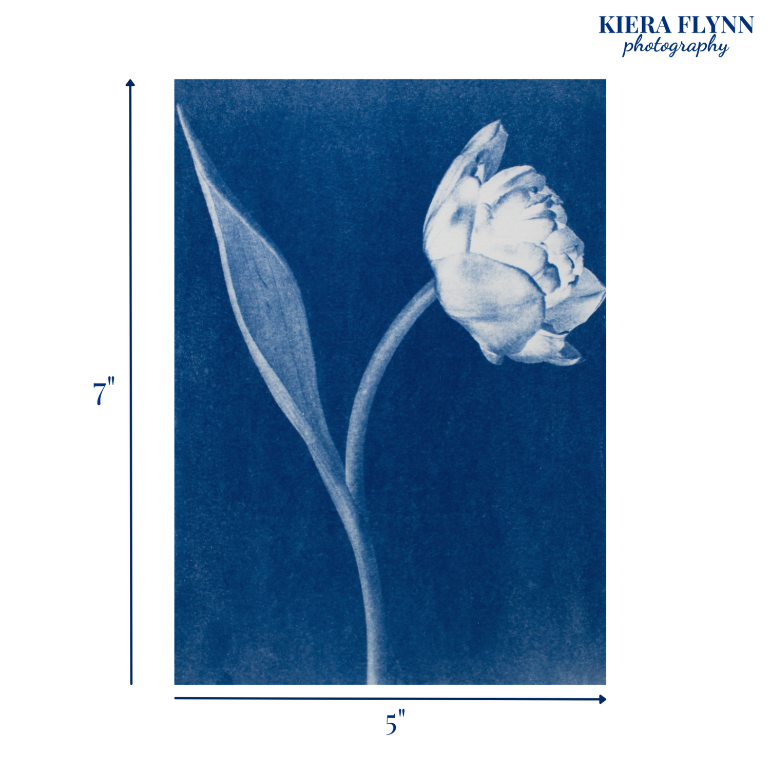 tulip-print