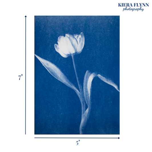 flowers-photography-uk