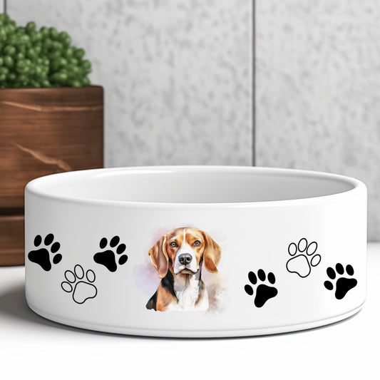 Beagle head study facing forward on a white ceramic dog bowl. Added paw prints on wither side of the image.