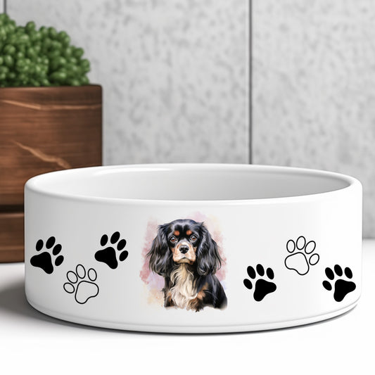 Black and Tan Cavalier King Charles Spaniel Sitting looking forward on a white dog bowl.  Grey panelled background, brown box and green plant.