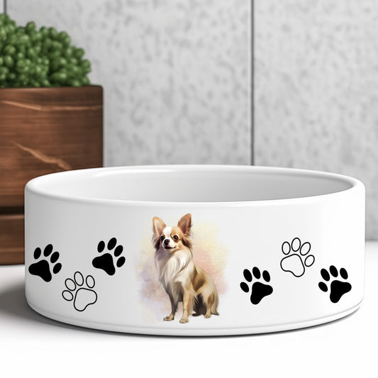 Fawn long haired chihuahua sitting and looking to the left.  Dog bowl with black and white paw prints.