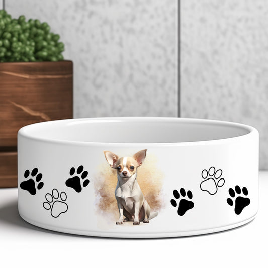 fawn-smooth-chihuahua-dog-bowl