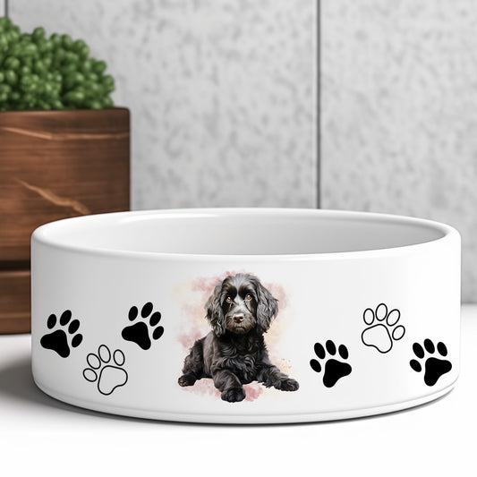Black cockapoo dog water bowl. Grey background with a brown planter and green plant.