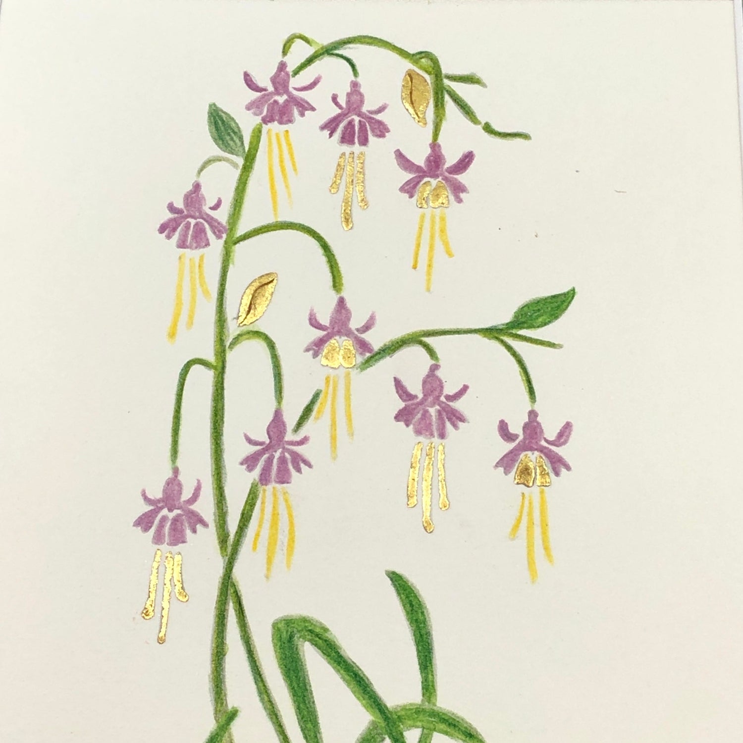 watercolour fuchsia 