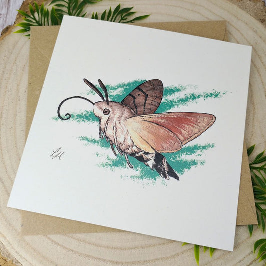 hummingbird-hawk-moth