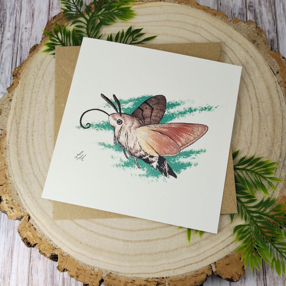 hummingbird-hawk-moth