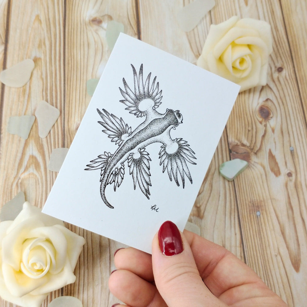 marine-creatures-cards