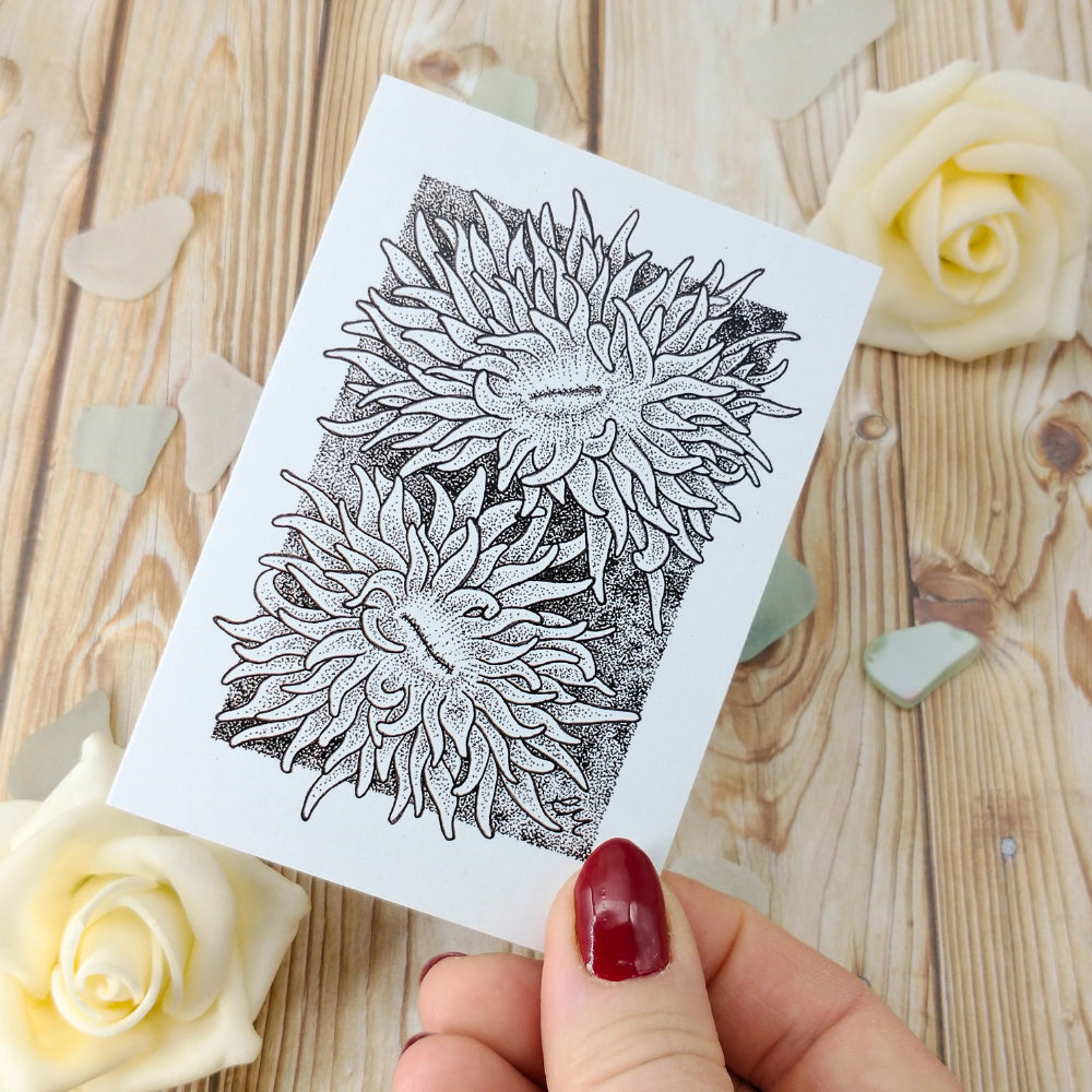 marine-creatures-cards