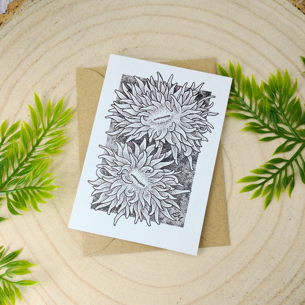 marine-creatures-cards