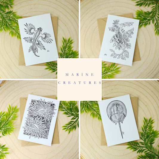 marine-creatures-cards