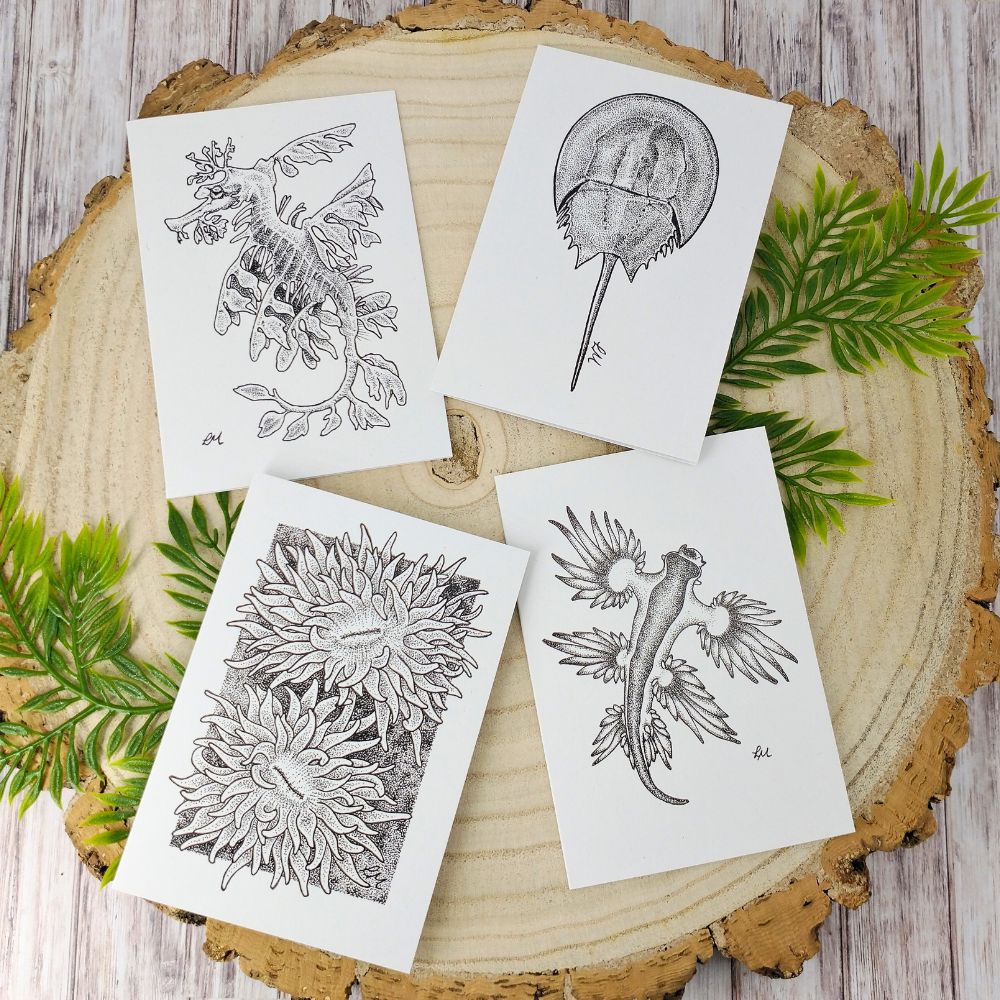 marine-creatures-cards