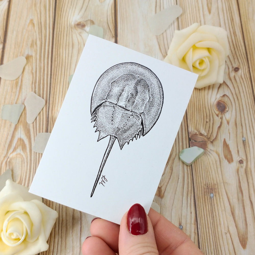 marine-creatures-cards