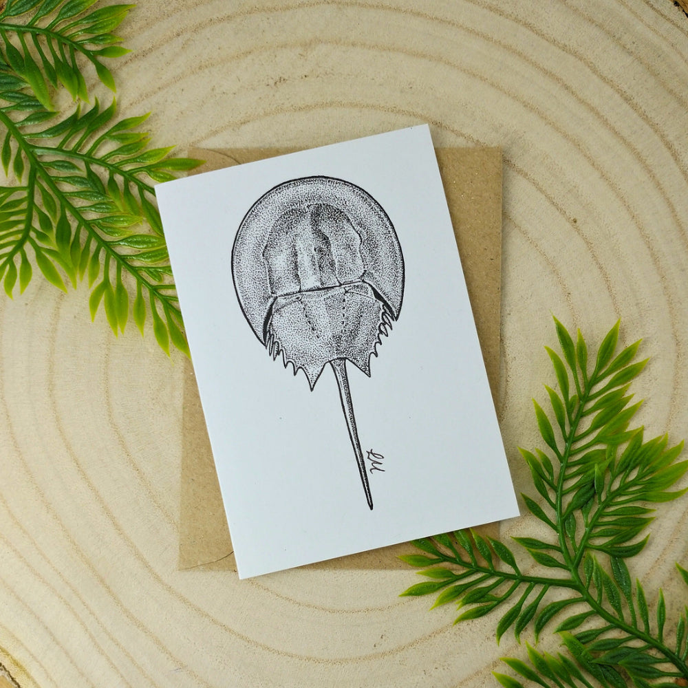 marine-creatures-cards
