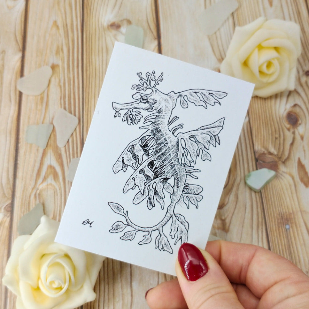 marine-creatures-cards