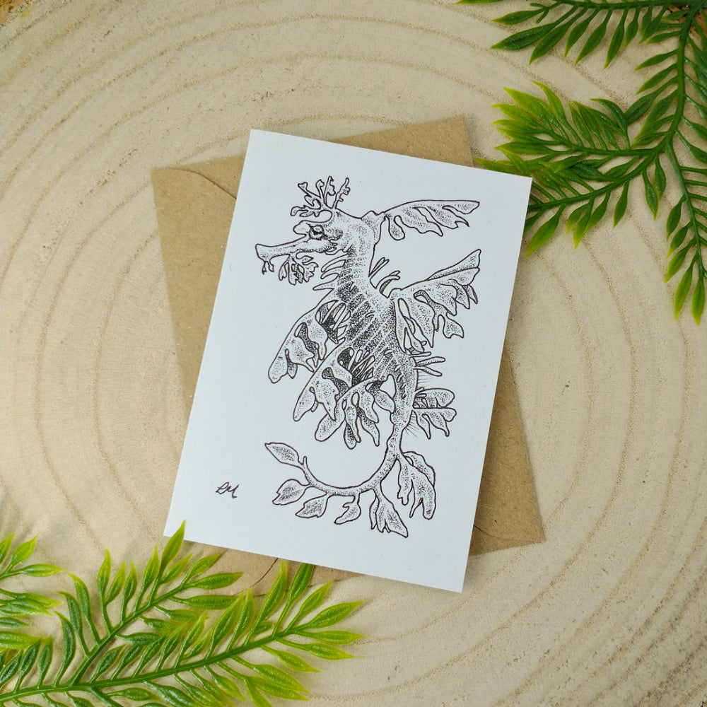marine-creatures-cards