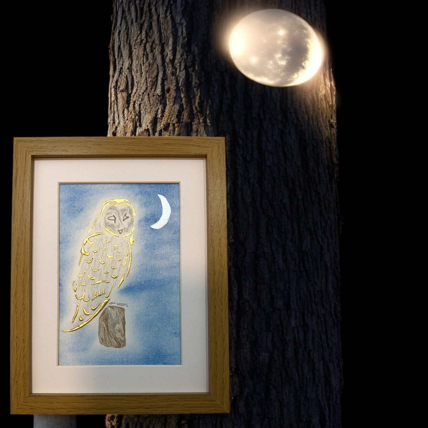 wise old owl