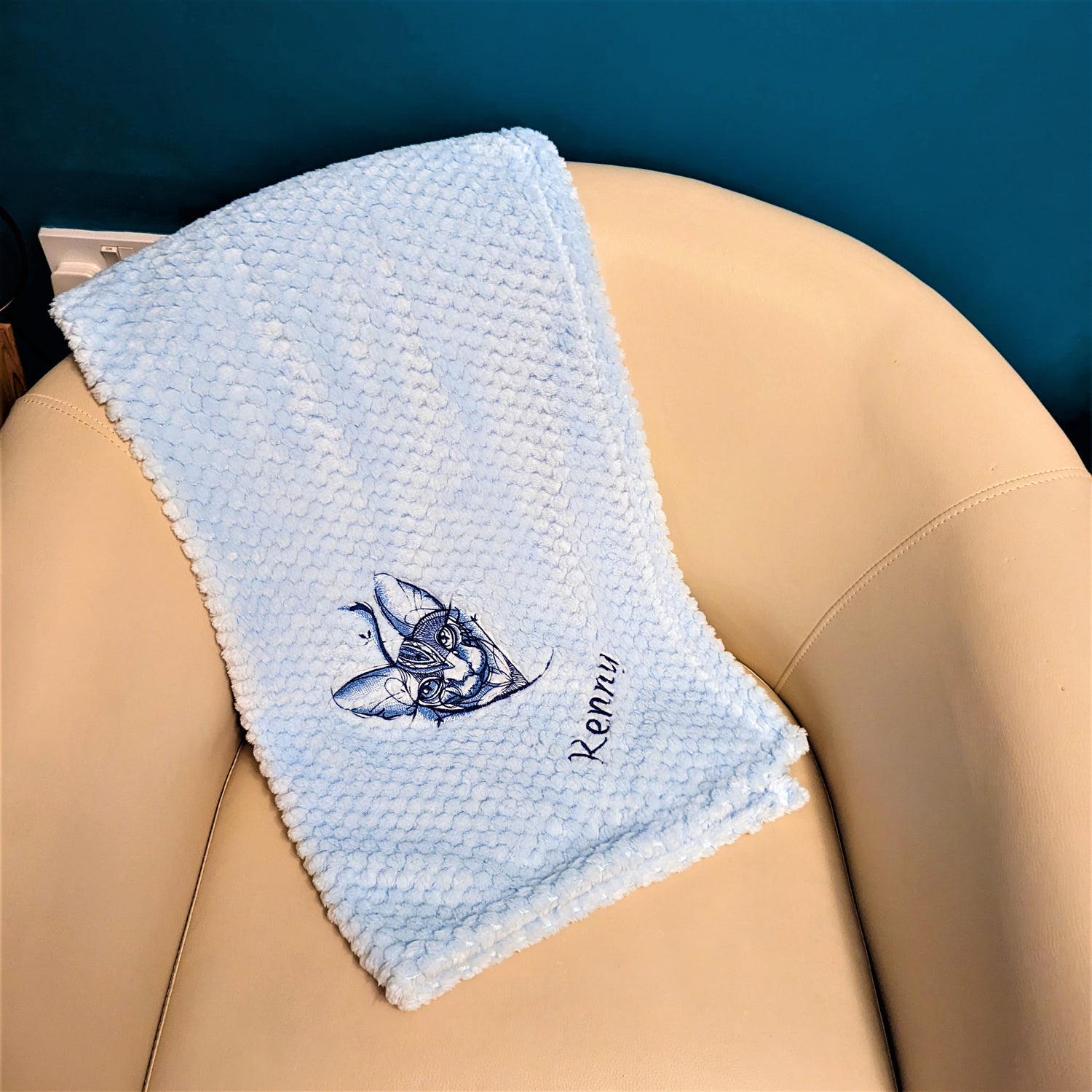 pet-blankets-for-cats