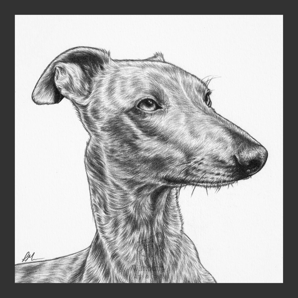 pet-portrait-gift