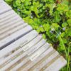 mini-plant-labels