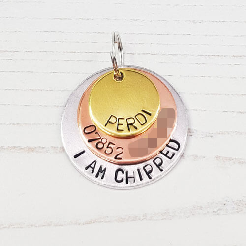 personalised-dog-tag 
