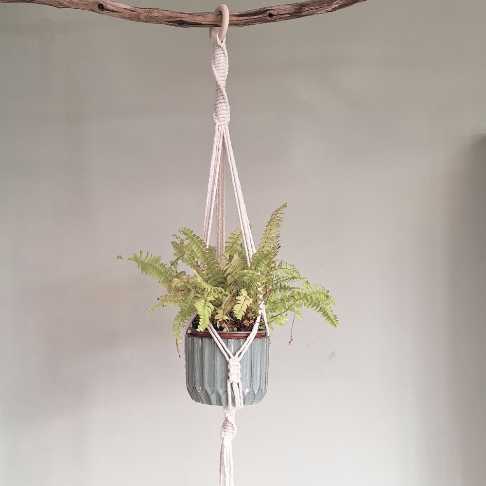 macrame plant holder kit 