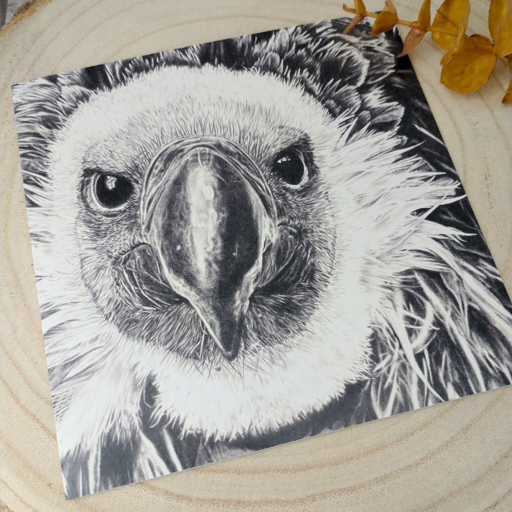 animal-conservation