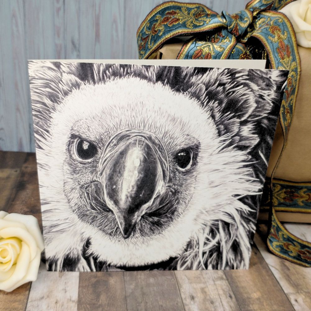 animal-conservation